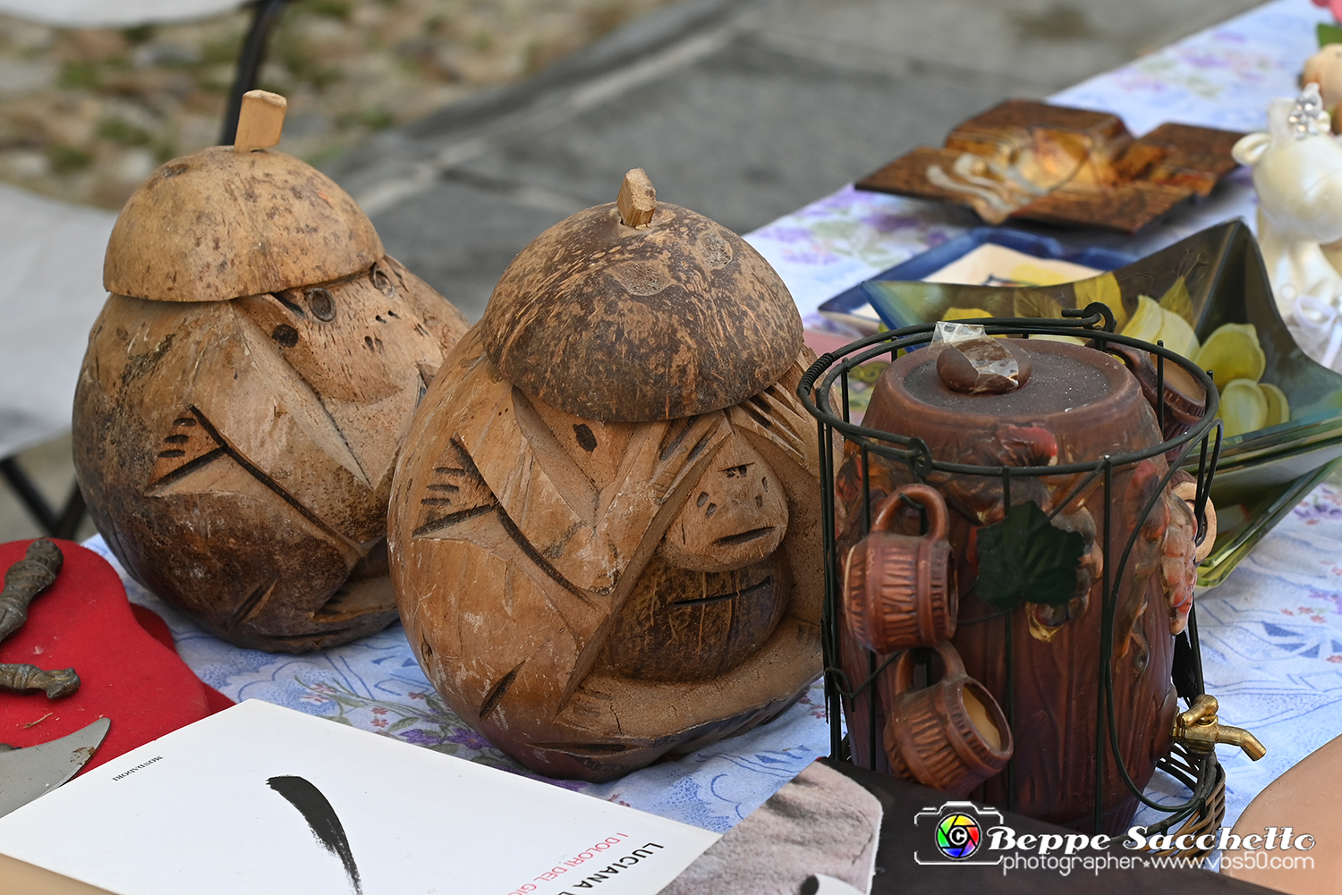 VBS_8107 - Mercatino dell'Antiquariato e dell'Hobbismo.jpg